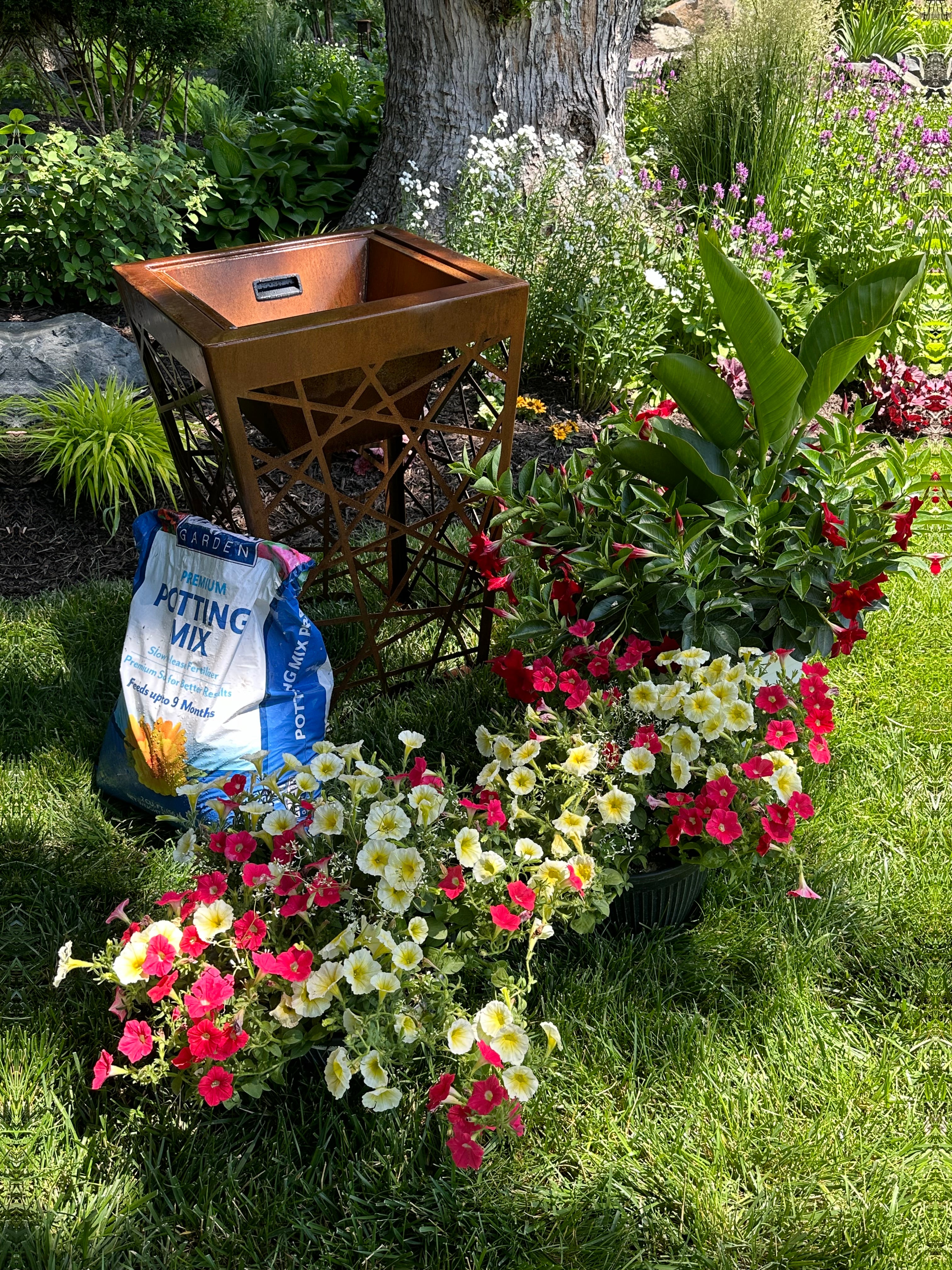 Planting Large Pots made EASY!